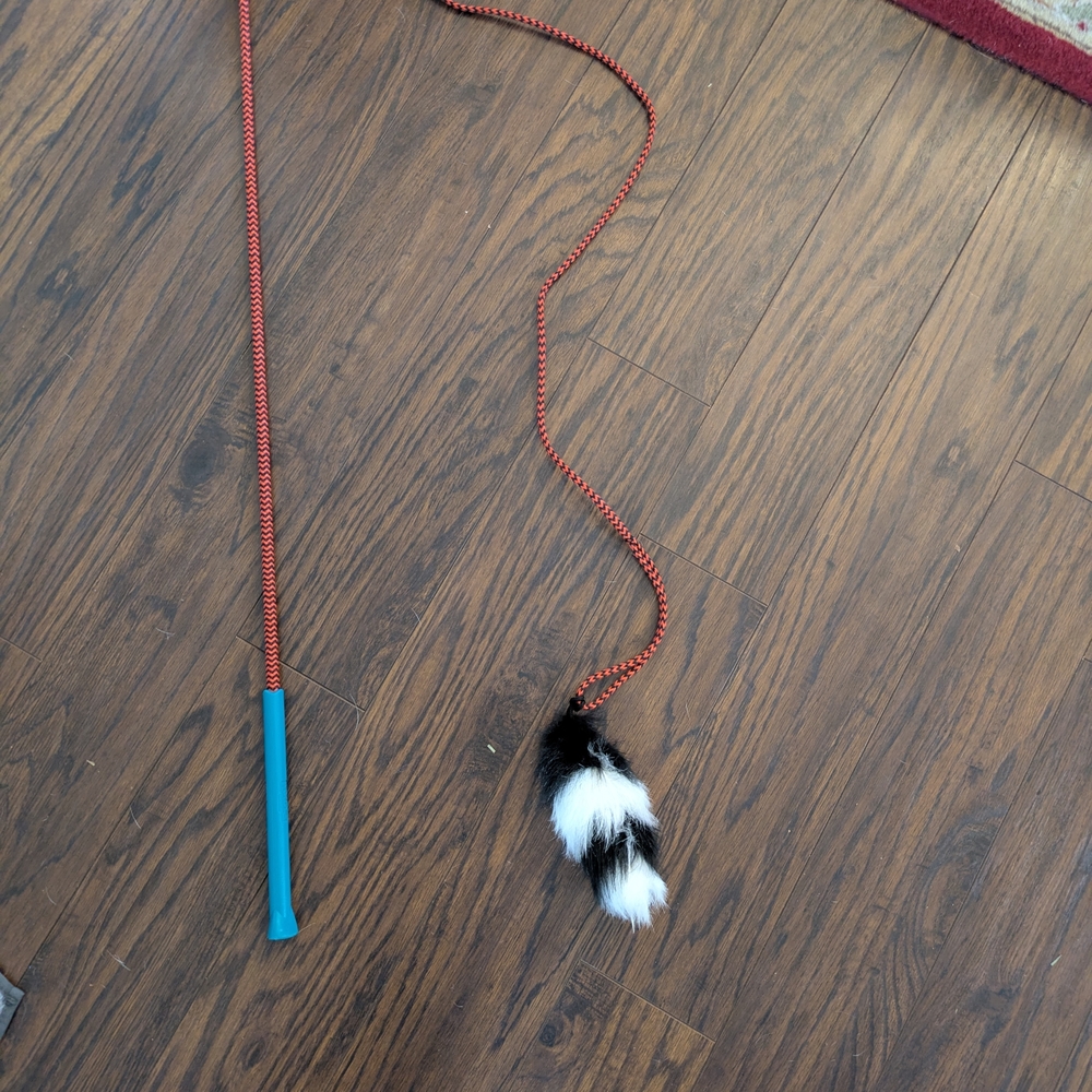 Red and Black Cat Toy Wand